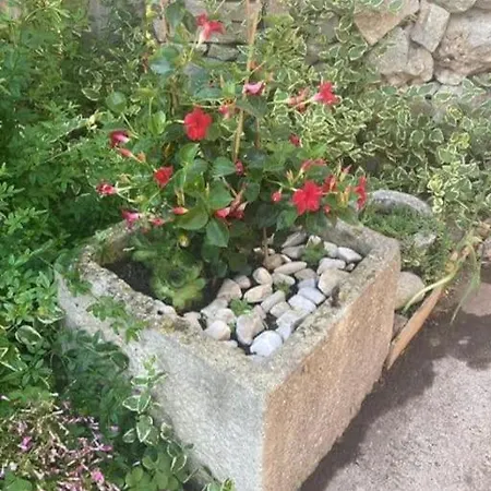 Klara Double - Terrace View *