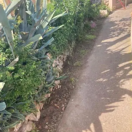 Klara Double - Terrace View * אוליב