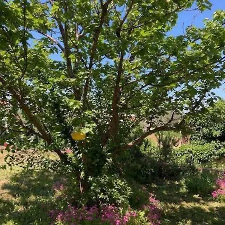 דירה Klara Double - Terrace View