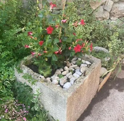 Klara Double - Terrace View *